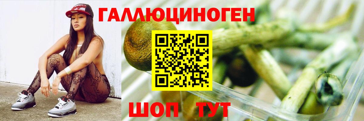 Псилоцибиновые грибы прущие грибы  Вход с VPN  Мариинск 